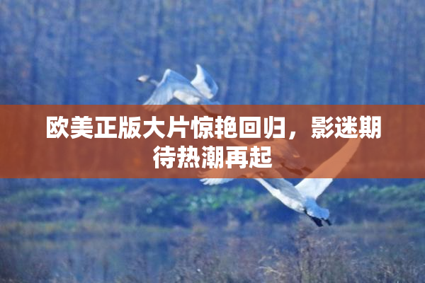 欧美正版大片惊艳回归，影迷期待热潮再起