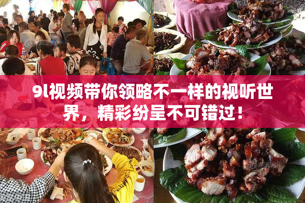 9l视频带你领略不一样的视听世界，精彩纷呈不可错过！