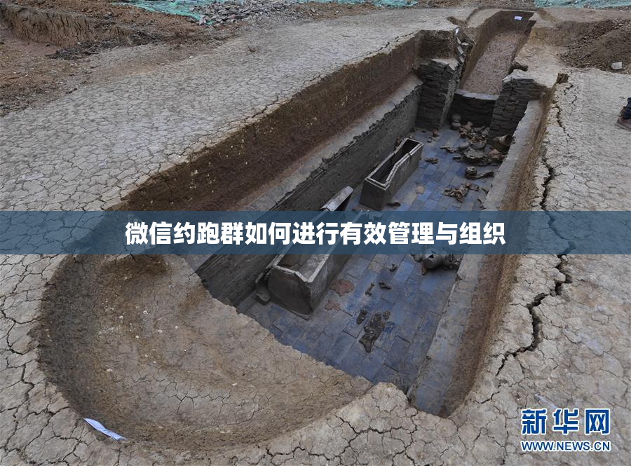 微信约跑群如何进行有效管理与组织