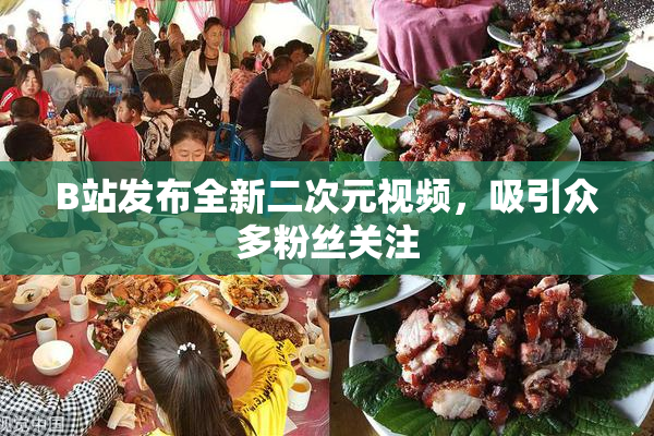 B站发布全新二次元视频，吸引众多粉丝关注