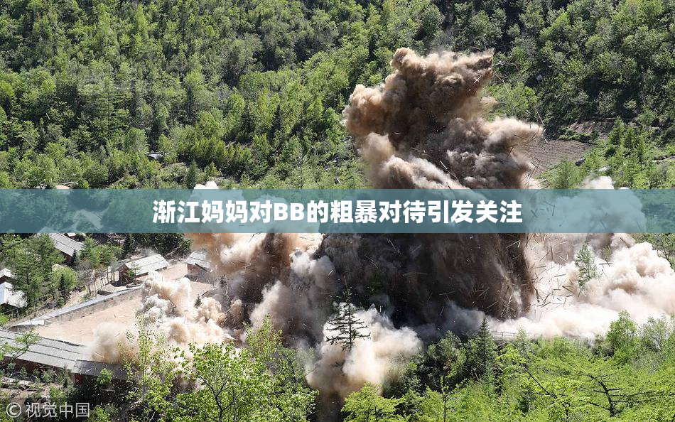 渐江妈妈对BB的粗暴对待引发关注