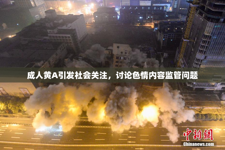 成人黄A引发社会关注，讨论色情内容监管问题