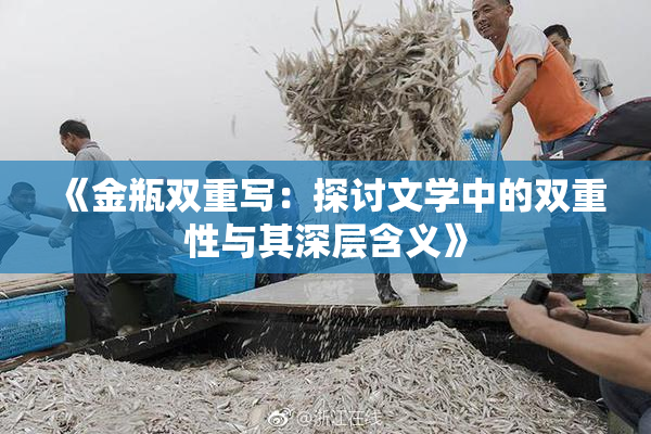 《金瓶双重写：探讨文学中的双重性与其深层含义》