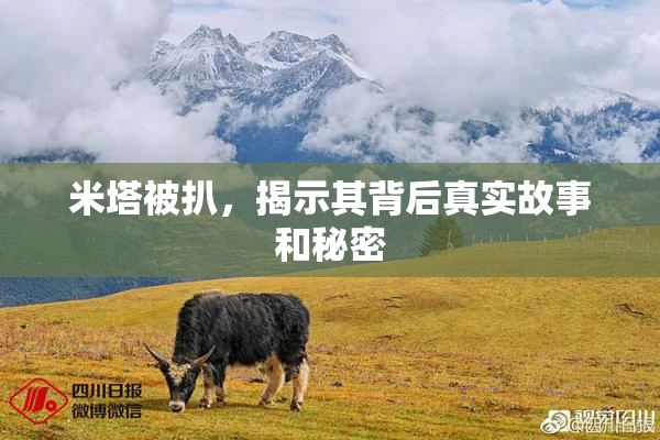 米塔被扒，揭示其背后真实故事和秘密