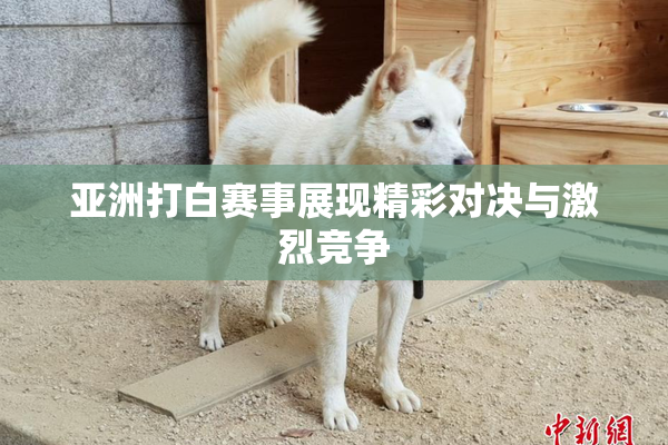 亚洲打白赛事展现精彩对决与激烈竞争