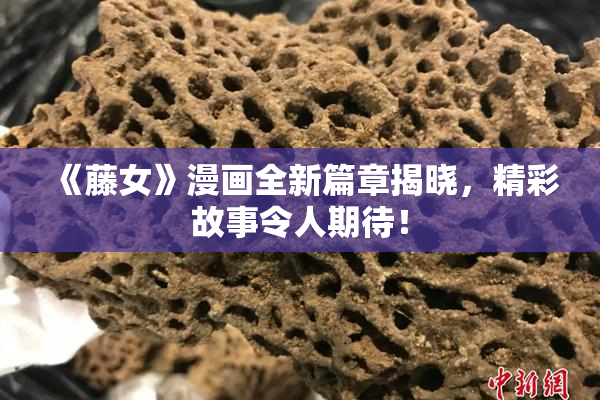 《藤女》漫画全新篇章揭晓，精彩故事令人期待！