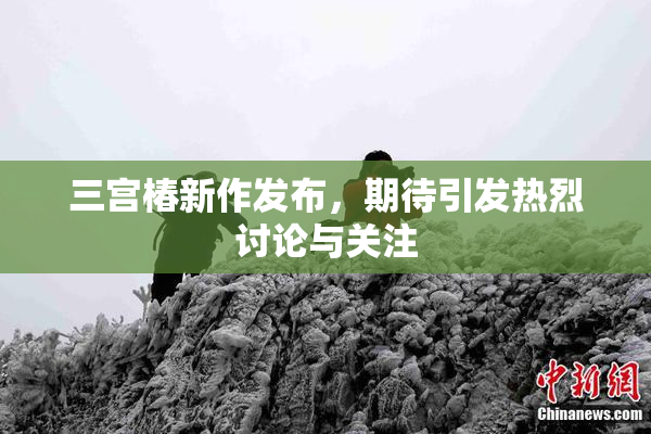 三宫椿新作发布，期待引发热烈讨论与关注