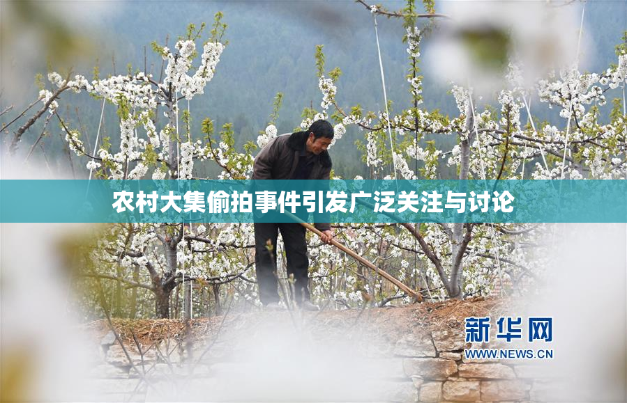 农村大集偷拍事件引发广泛关注与讨论