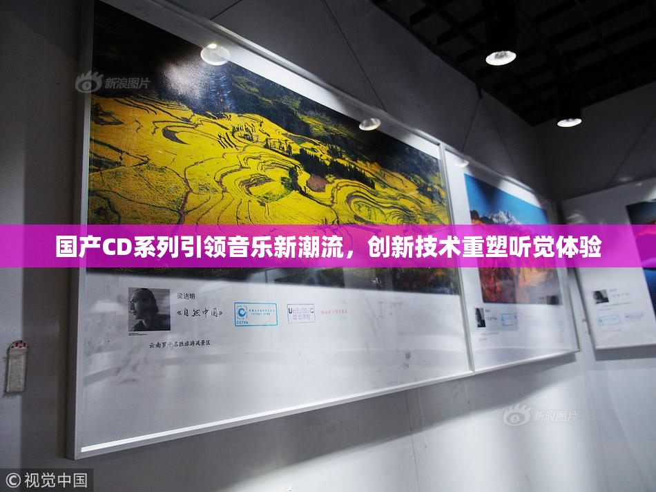 国产CD系列引领音乐新潮流，创新技术重塑听觉体验