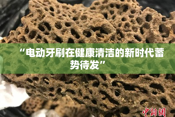 “电动牙刷在健康清洁的新时代蓄势待发”