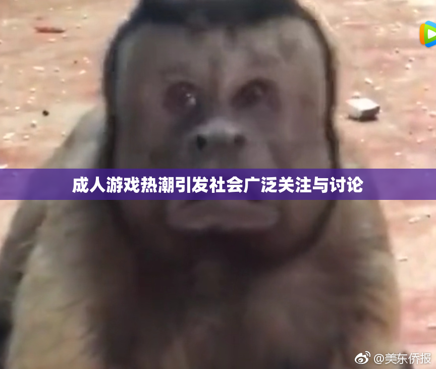 成人游戏热潮引发社会广泛关注与讨论