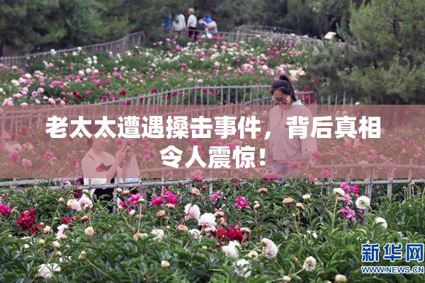 老太太遭遇搡击事件，背后真相令人震惊！