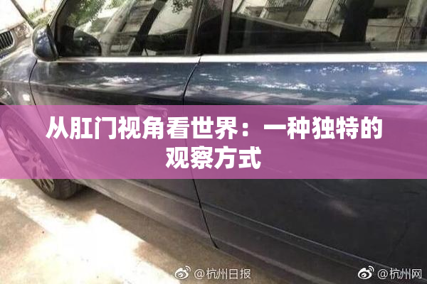 从肛门视角看世界：一种独特的观察方式