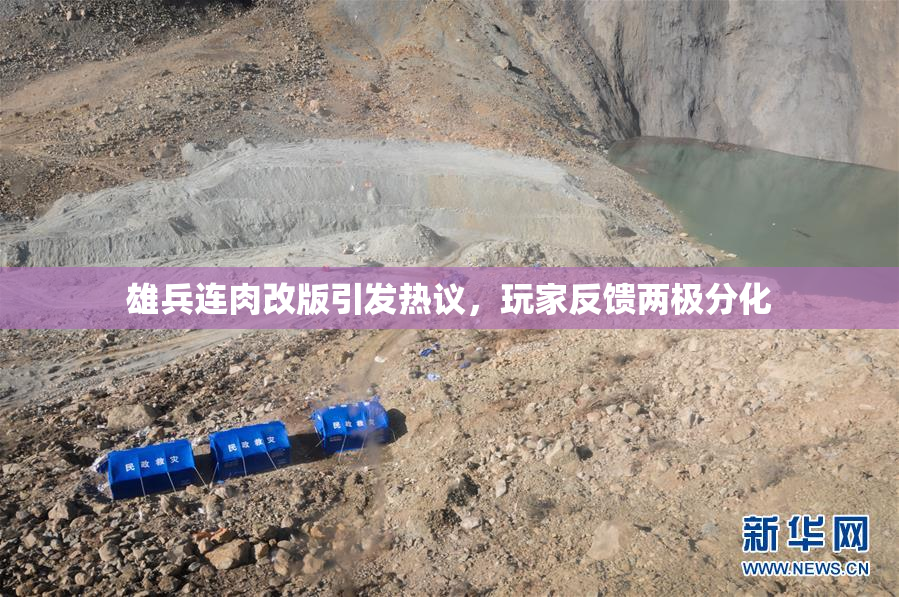 雄兵连肉改版引发热议，玩家反馈两极分化