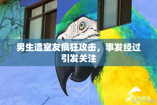 男生遭室友疯狂攻击，事发经过引发关注