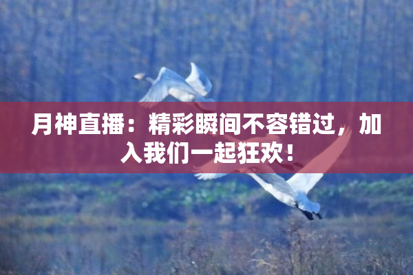 月神直播：精彩瞬间不容错过，加入我们一起狂欢！