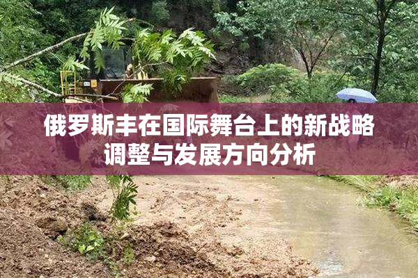 俄罗斯丰在国际舞台上的新战略调整与发展方向分析