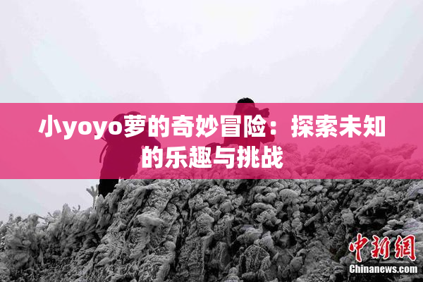 小yoyo萝的奇妙冒险：探索未知的乐趣与挑战