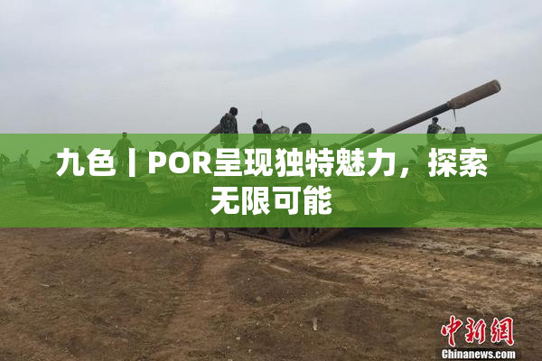 九色丨POR呈现独特魅力，探索无限可能