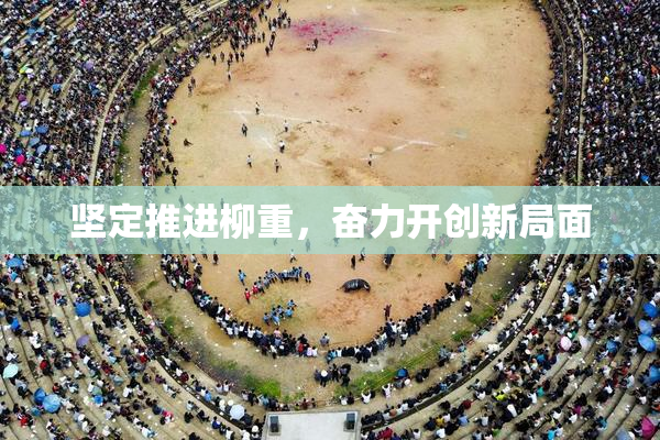 坚定推进柳重，奋力开创新局面