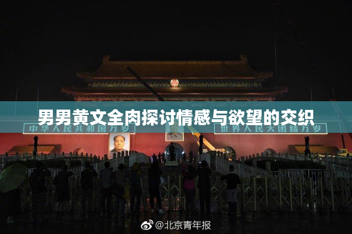 男男黄文全肉探讨情感与欲望的交织