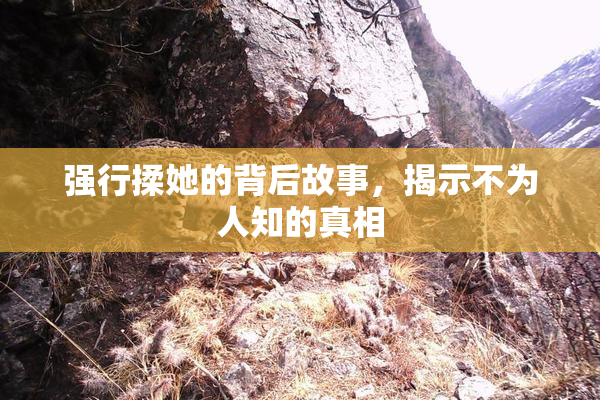 强行揉她的背后故事，揭示不为人知的真相