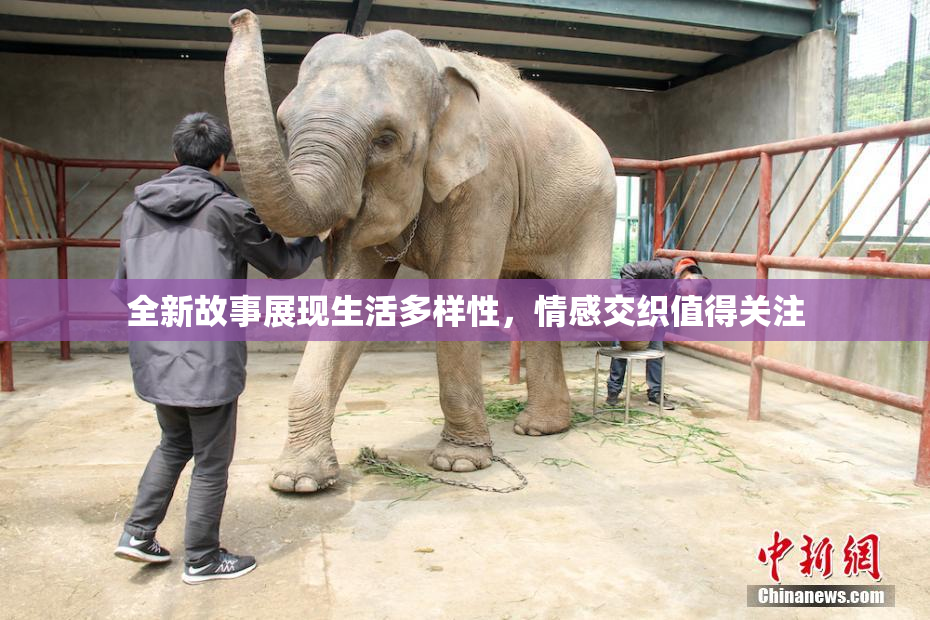 全新故事展现生活多样性，情感交织值得关注