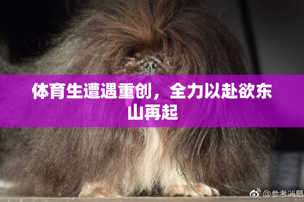 体育生遭遇重创，全力以赴欲东山再起