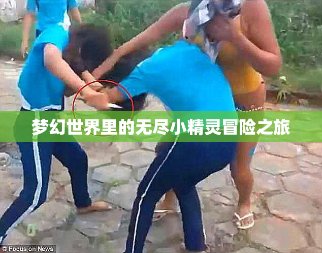 梦幻世界里的无尽小精灵冒险之旅