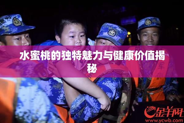 水蜜桃的独特魅力与健康价值揭秘