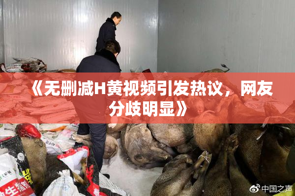 《无删减H黄视频引发热议，网友分歧明显》