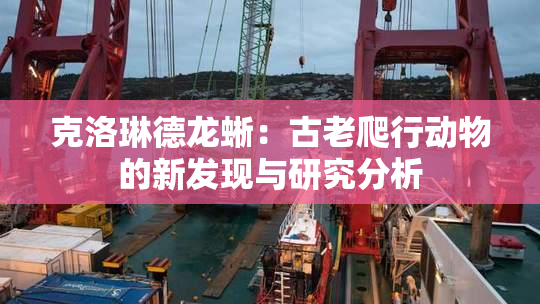 克洛琳德龙蜥：古老爬行动物的新发现与研究分析