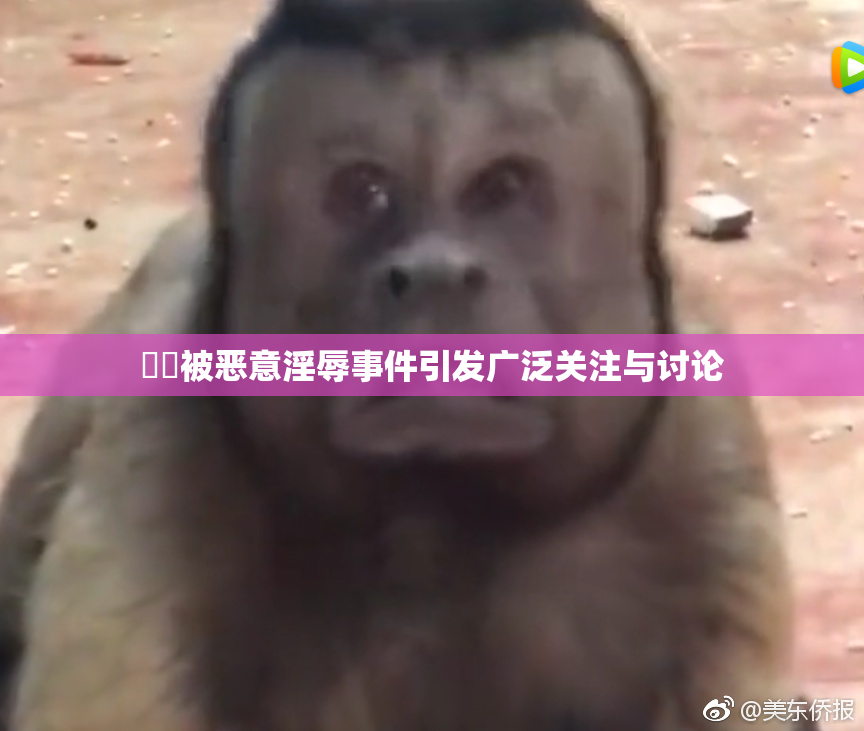 妺妺被恶意淫辱事件引发广泛关注与讨论