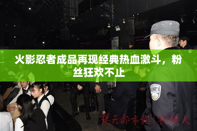 火影忍者成品再现经典热血激斗，粉丝狂欢不止