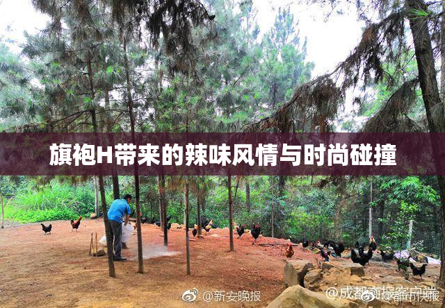 旗袍H带来的辣味风情与时尚碰撞