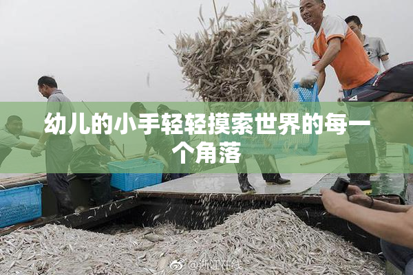 幼儿的小手轻轻摸索世界的每一个角落