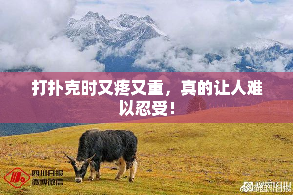 打扑克时又疼又重，真的让人难以忍受！