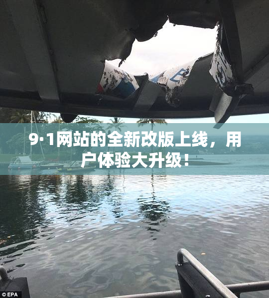 9·1网站的全新改版上线，用户体验大升级！