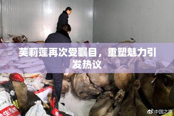 芙莉莲再次受瞩目，重塑魅力引发热议