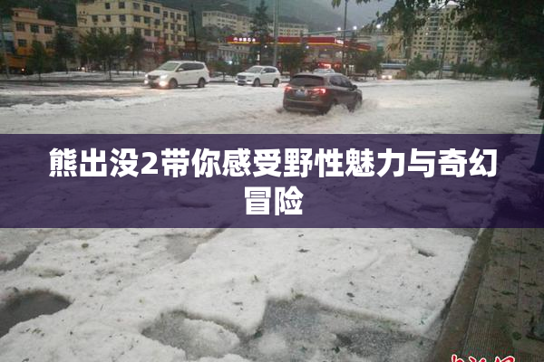 熊出没2带你感受野性魅力与奇幻冒险