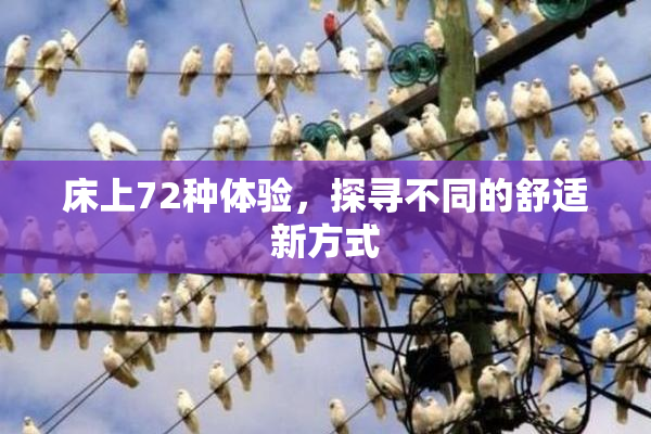 床上72种体验，探寻不同的舒适新方式
