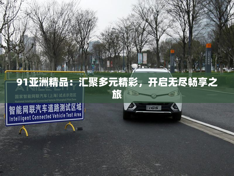 91亚洲精品：汇聚多元精彩，开启无尽畅享之旅