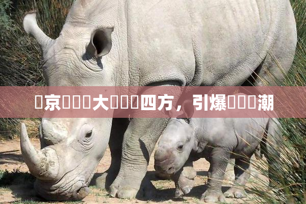 東京熱無碼大戲驚艷四方，引爆觀眾熱潮