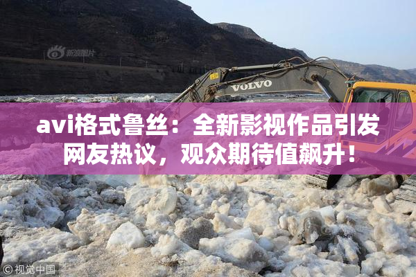 avi格式鲁丝：全新影视作品引发网友热议，观众期待值飙升！