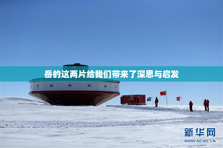 岳的这两片给我们带来了深思与启发