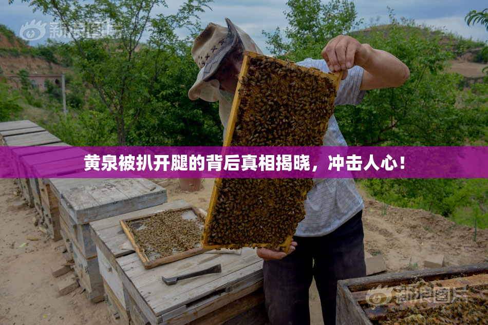 黄泉被扒开腿的背后真相揭晓，冲击人心！
