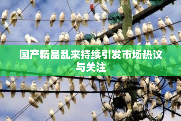 国产精品乱来持续引发市场热议与关注