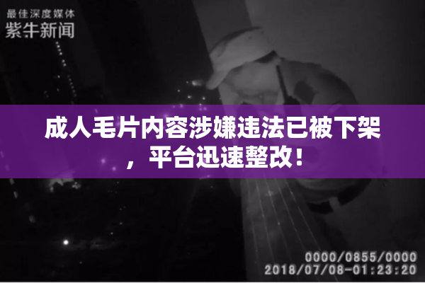 成人毛片内容涉嫌违法已被下架，平台迅速整改！