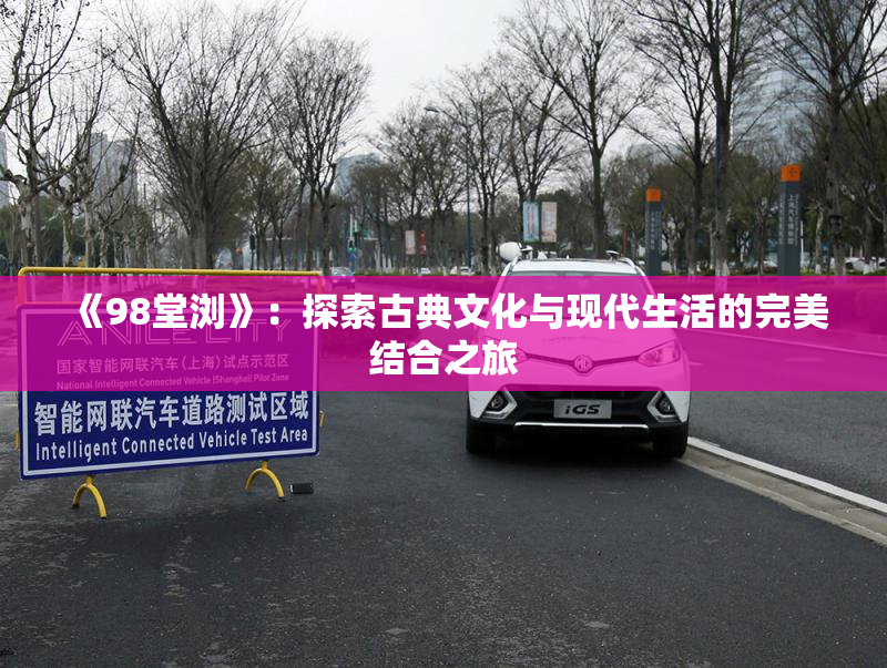 《98堂浏》：探索古典文化与现代生活的完美结合之旅