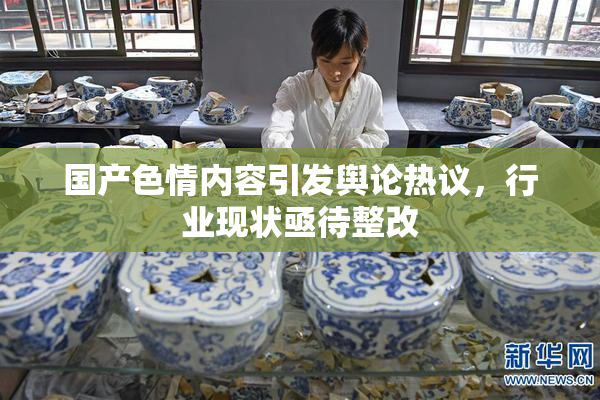 国产色情内容引发舆论热议，行业现状亟待整改